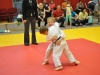 2. turnir Judo Jaka 2015 (152)
