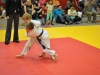 2. turnir Judo Jaka 2015 (154)