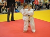 2. turnir Judo Jaka 2015 (173)