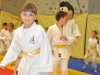 2. turnir Judo Jaka 2015 (20)