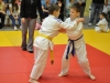 2. turnir Judo Jaka 2015 (208)