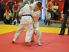 2. turnir Judo Jaka 2015 (213)