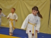2. turnir Judo Jaka 2015 (22)