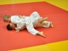 2. turnir Judo Jaka 2015 (234)