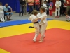 2. turnir Judo Jaka 2015 (236)