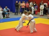 2. turnir Judo Jaka 2015 (237)
