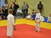 2. turnir Judo Jaka 2015 (244)