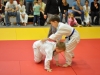 2. turnir Judo Jaka 2015 (257)