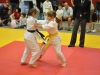 2. turnir Judo Jaka 2015 (260)