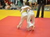 2. turnir Judo Jaka 2015 (263)