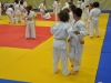 2. turnir Judo Jaka 2015 (28)