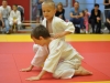 2. turnir Judo Jaka 2015 (290)