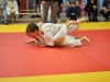 2. turnir Judo Jaka 2015 (298)