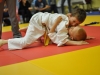 2. turnir Judo Jaka 2015 (302)