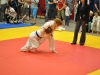 2. turnir Judo Jaka 2015 (317)
