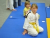 2. turnir Judo Jaka 2015 (323)