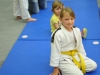 2. turnir Judo Jaka 2015 (324)