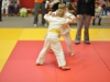 2. turnir Judo Jaka 2015 (390)