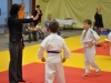 2. turnir Judo Jaka 2015 (401)