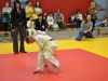 2. turnir Judo Jaka 2015 (408)