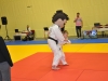 2. turnir Judo Jaka 2015 (41)