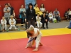 2. turnir Judo Jaka 2015 (413)