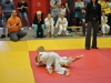 2. turnir Judo Jaka 2015 (419)