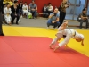 2. turnir Judo Jaka 2015 (427)