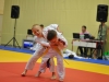 2. turnir Judo Jaka 2015 (434)