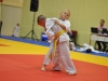 2. turnir Judo Jaka 2015 (435)