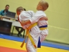 2. turnir Judo Jaka 2015 (442)