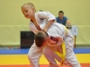 2. turnir Judo Jaka 2015 (443)