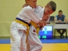 2. turnir Judo Jaka 2015 (445)
