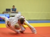 2. turnir Judo Jaka 2015 (446)