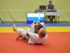 2. turnir Judo Jaka 2015 (447)