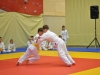 2. turnir Judo Jaka 2015 (491)