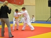 2. turnir Judo Jaka 2015 (492)