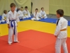2. turnir Judo Jaka 2015 (497)