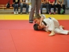 2. turnir Judo Jaka 2015 (587)