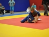 2. turnir Judo Jaka 2015 (593)