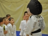 2. turnir Judo Jaka 2015 (6)
