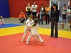 2. turnir Judo Jaka 2015 (66)