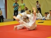2. turnir Judo Jaka 2015 (677)