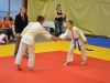 2. turnir Judo Jaka 2015 (74)