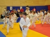 2. turnir Judo Jaka 2015 (8)