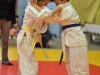 2. turnir Judo Jaka 2015 (85)