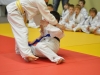 2. turnir Judo Jaka 2015 (94)