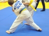4. turnir Judo Jaka (302)