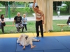 Finalni turnir 2015  (109)