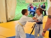 Finalni turnir 2015  (14)